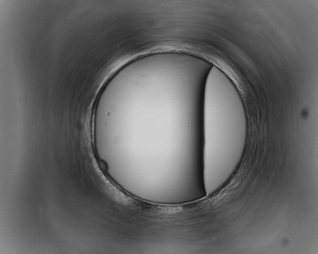 X0000100841055200806200734