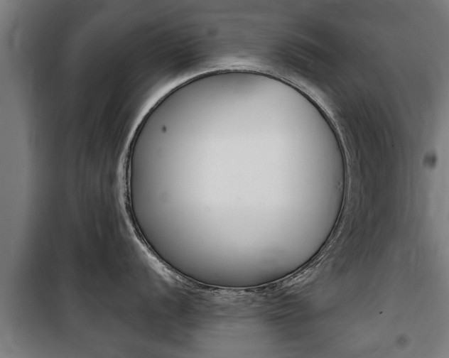 X0000100841056200806200734