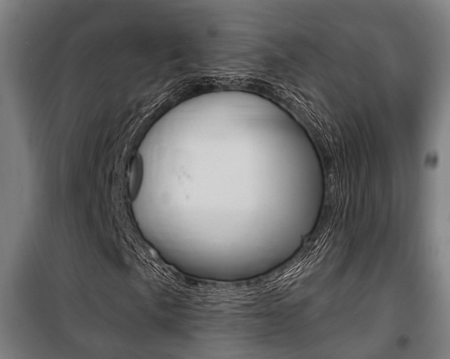 X0000100841057200806200733