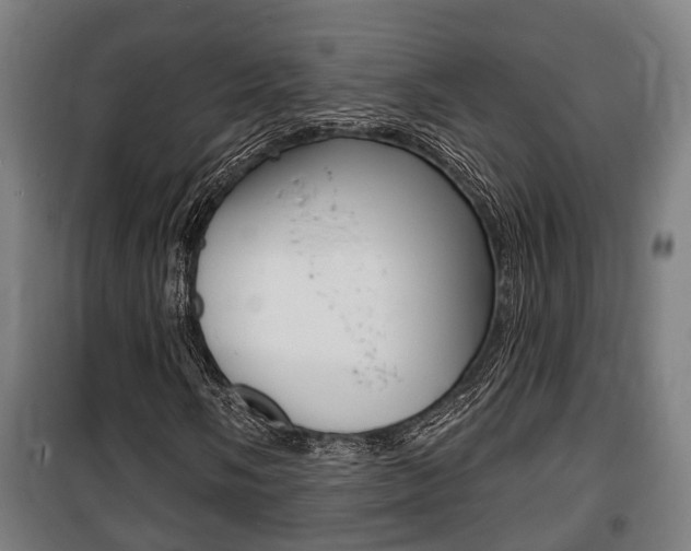 X0000100841058200806200733