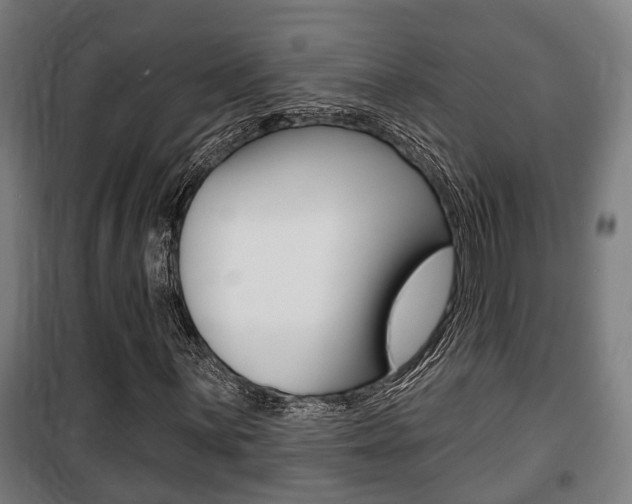 X0000100841059200806200733