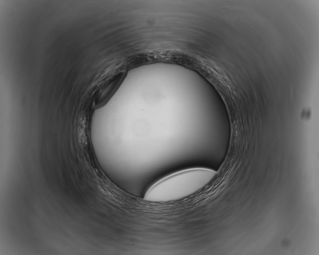 X0000100841060200806200733