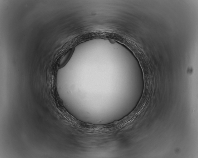 X0000100841061200806200733