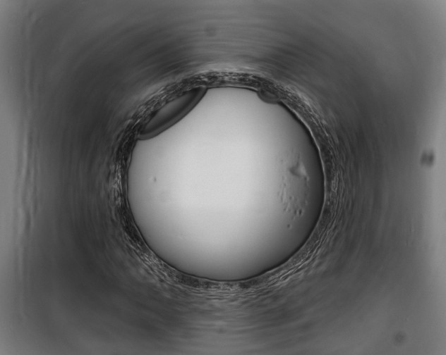 X0000100841062200806200733