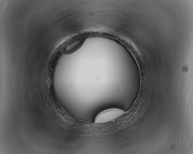 X0000100841064200806200733