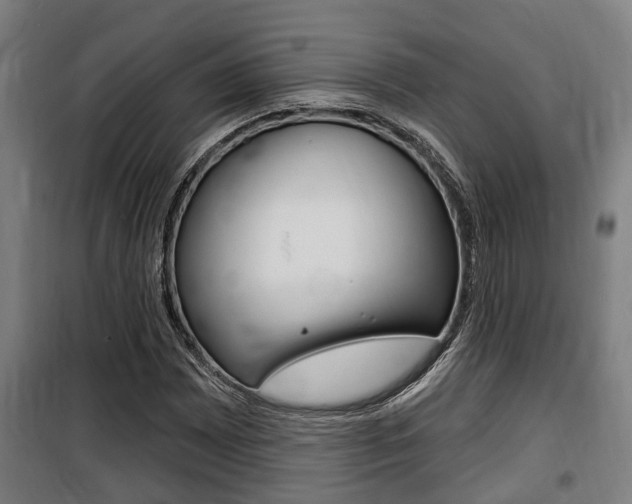 X0000100841065200806200733