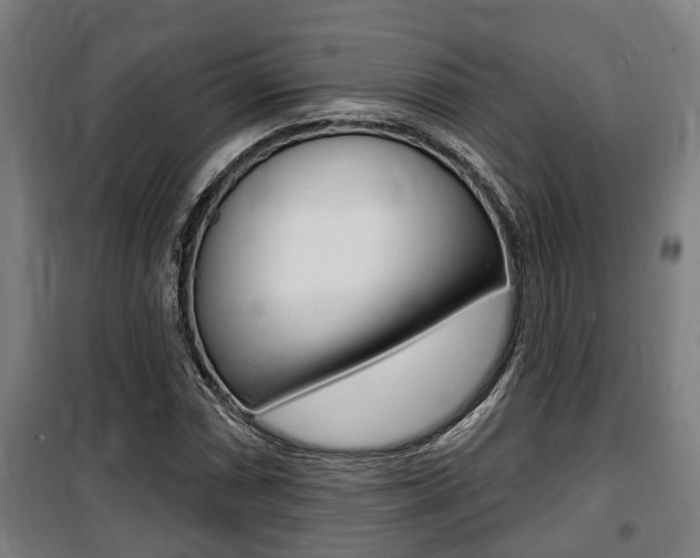 X0000100841066200806200733