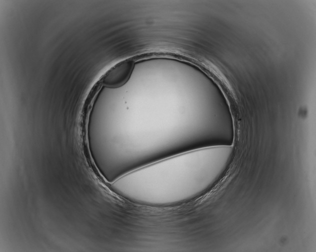 X0000100841068200806200733