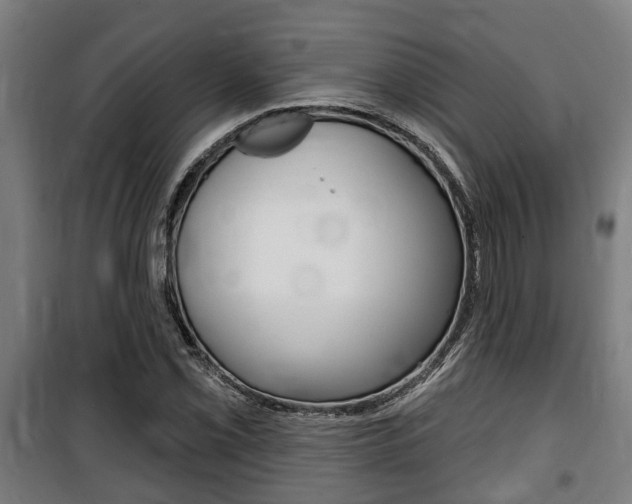 X0000100841069200806200733