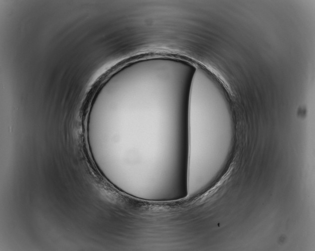 X0000100841070200806200733