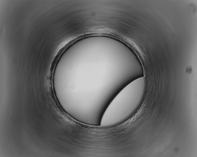 X0000100841071200806200733