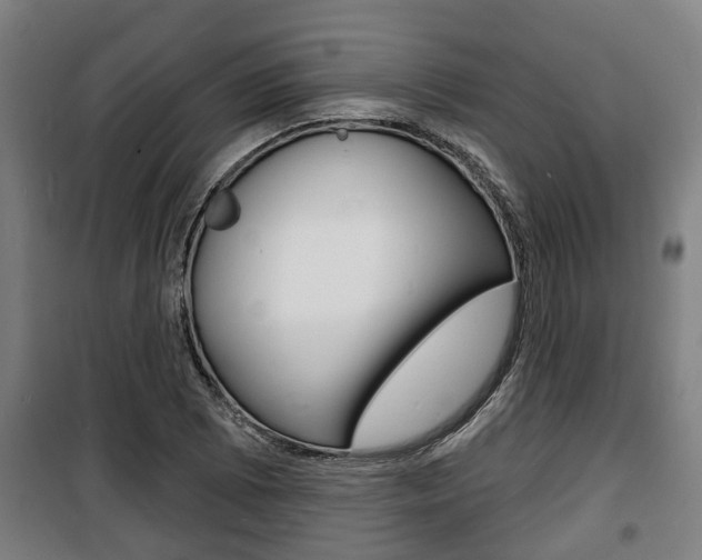 X0000100841073200806200733