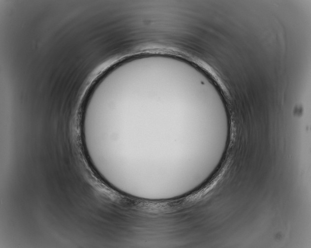 X0000100841074200806200732