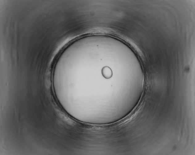 X0000100841075200806200732