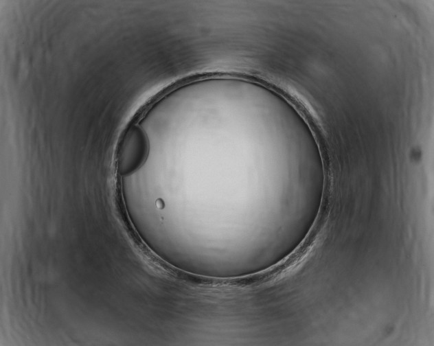 X0000100841077200806200732