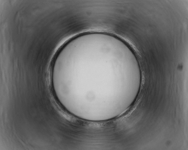 X0000100841078200806200732