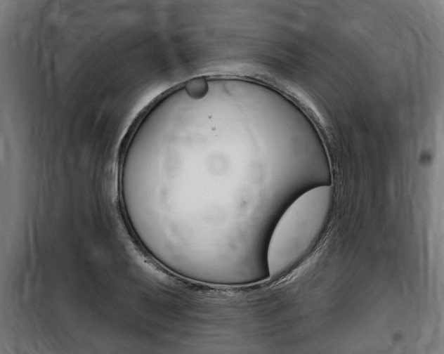 X0000100841079200806200732