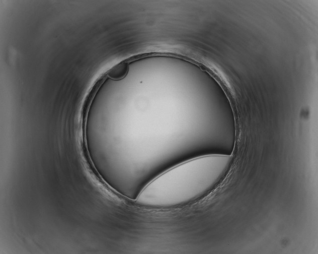 X0000100841080200806200732