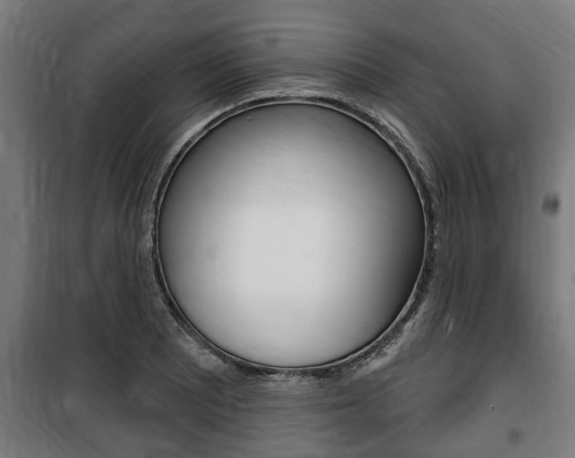 X0000100841081200806200732