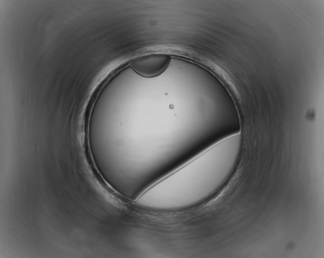 X0000100841082200806200732