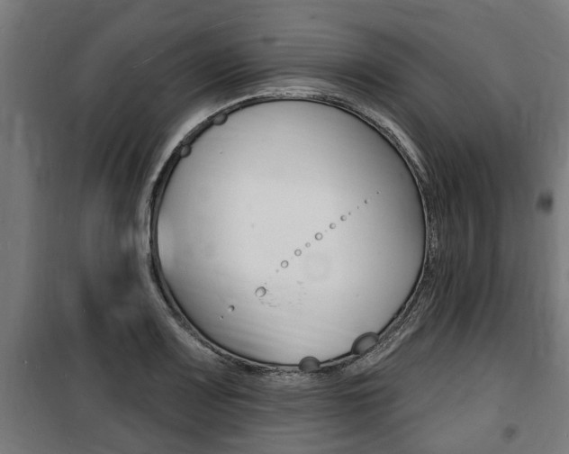 X0000100841083200806200732