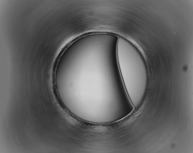 X0000100841085200806200732