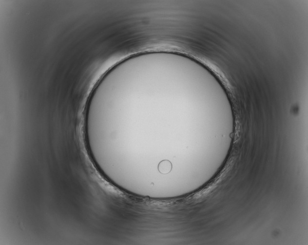 X0000100841086200806200732