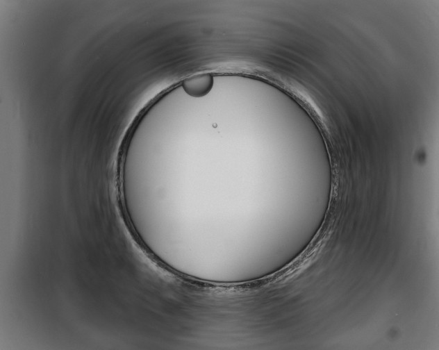 X0000100841087200806200732