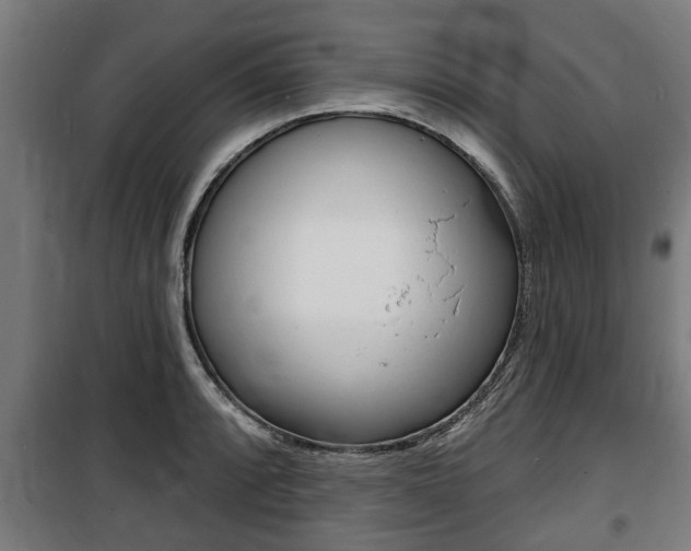 X0000100841088200806200732