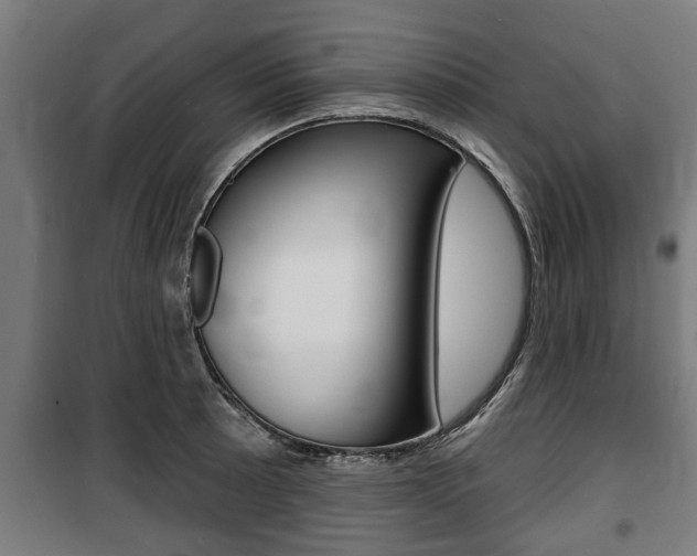 X0000100841089200806200732