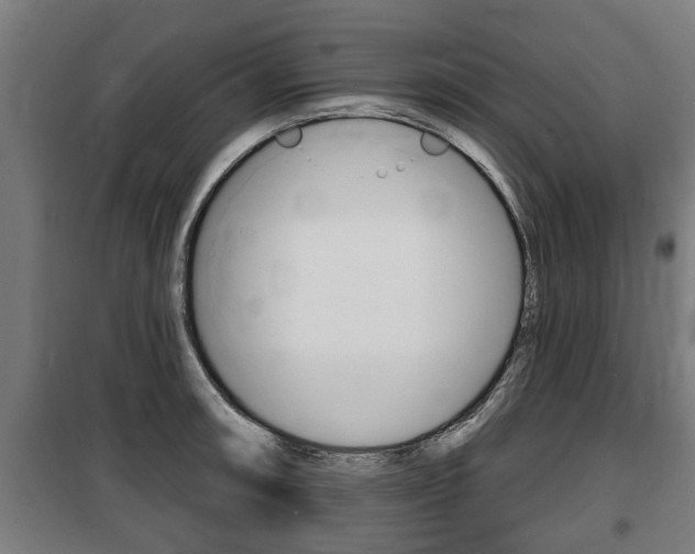 X0000100841090200806200732