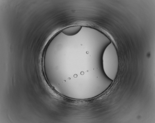 X0000100841091200806200732