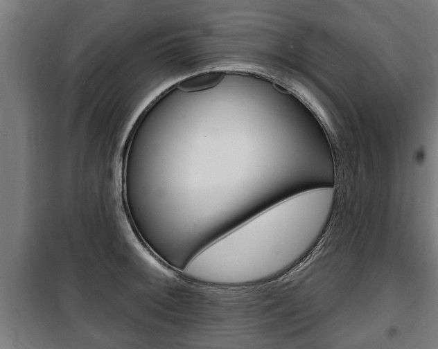 X0000100841092200806200732