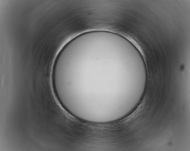 X0000100841093200806200732