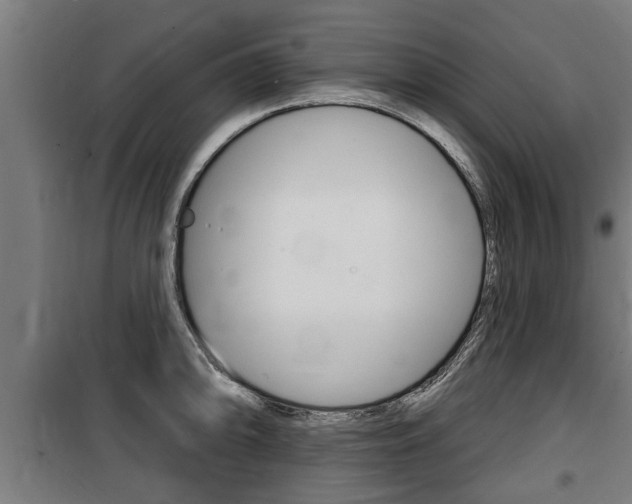 X0000100841094200806200732