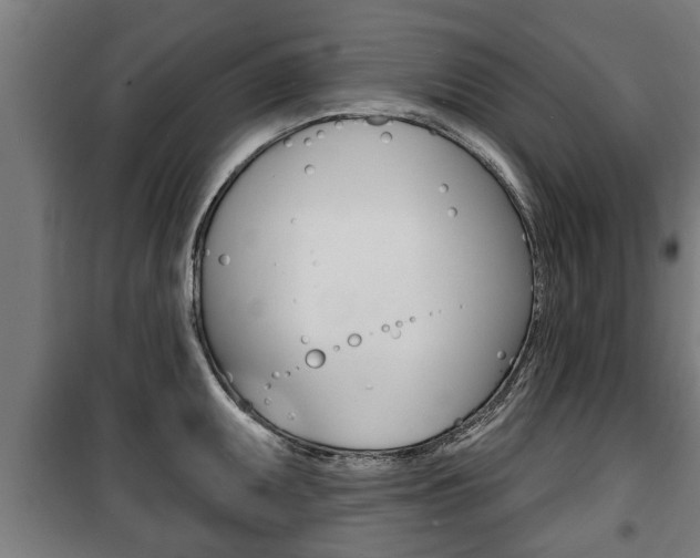 X0000100841095200806200732