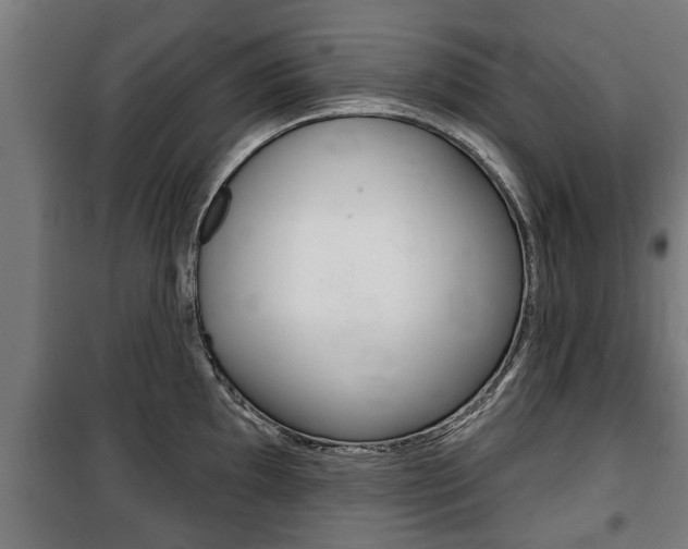 X0000100841097200806200732