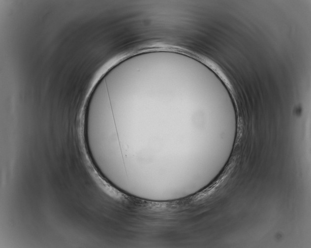 X0000100841098200806200732