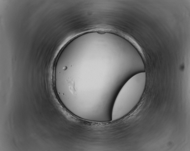 X0000100841099200806200732