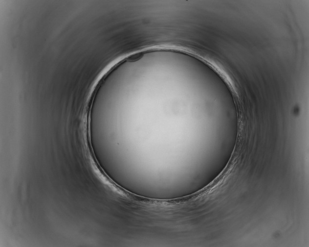 X0000100841100200806200732