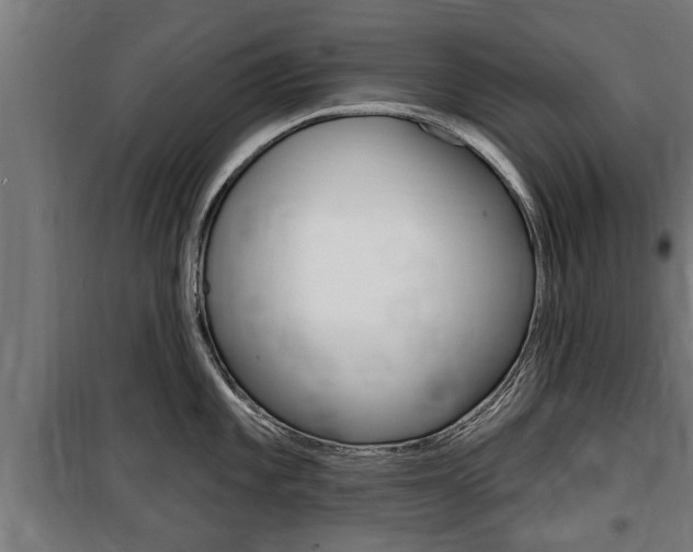 X0000100841101200806200732