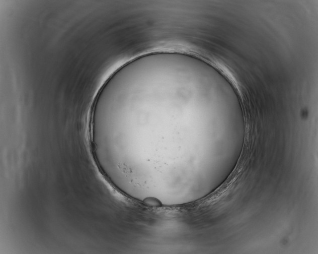 X0000100841103200806200732