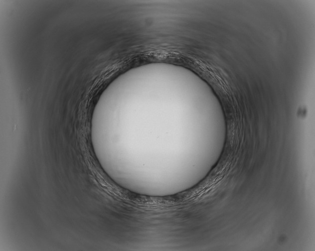 X0000100841105200806200731