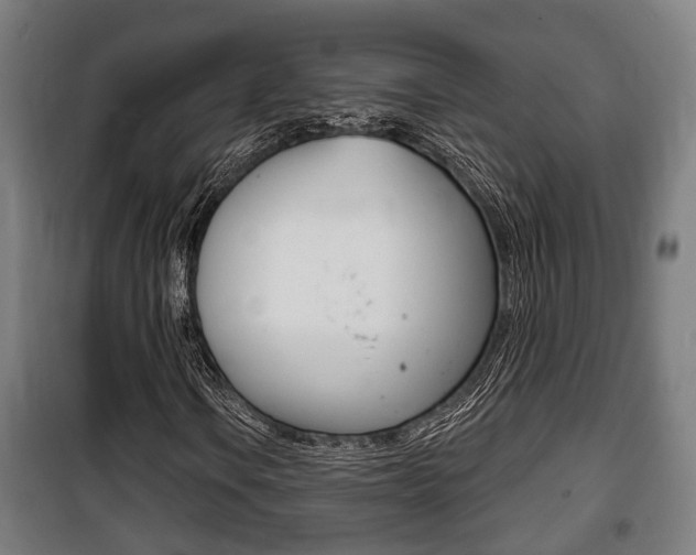 X0000100841106200806200731