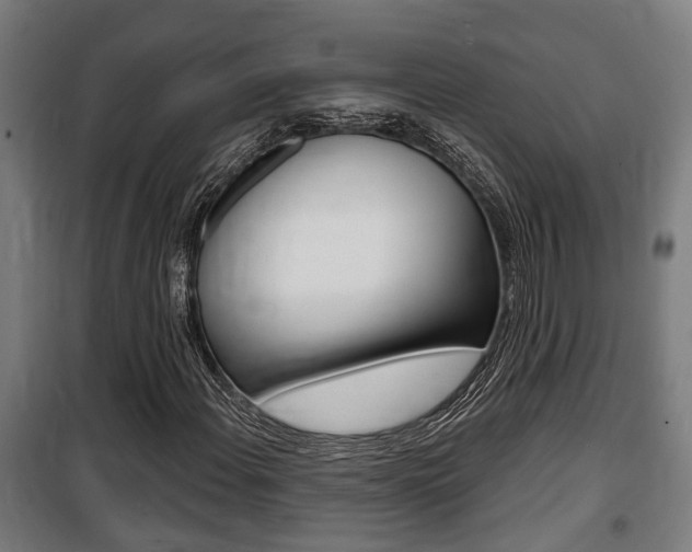 X0000100841108200806200731