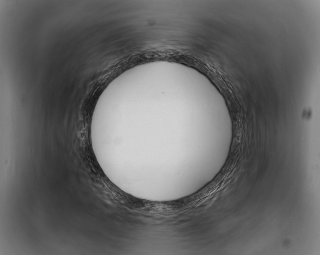 X0000100841109200806200731