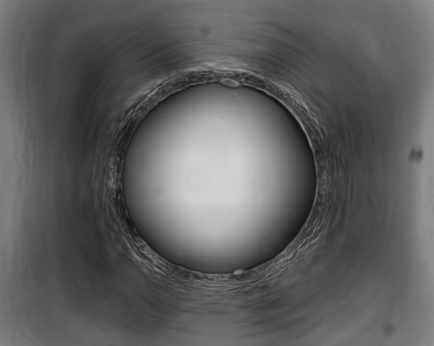 X0000100841110200806200731