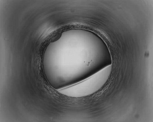 X0000100841111200806200731