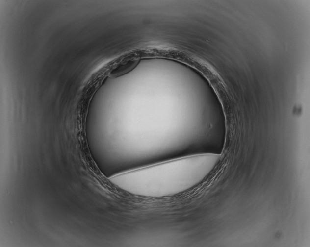 X0000100841112200806200731