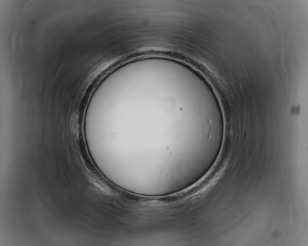 X0000100841113200806200731